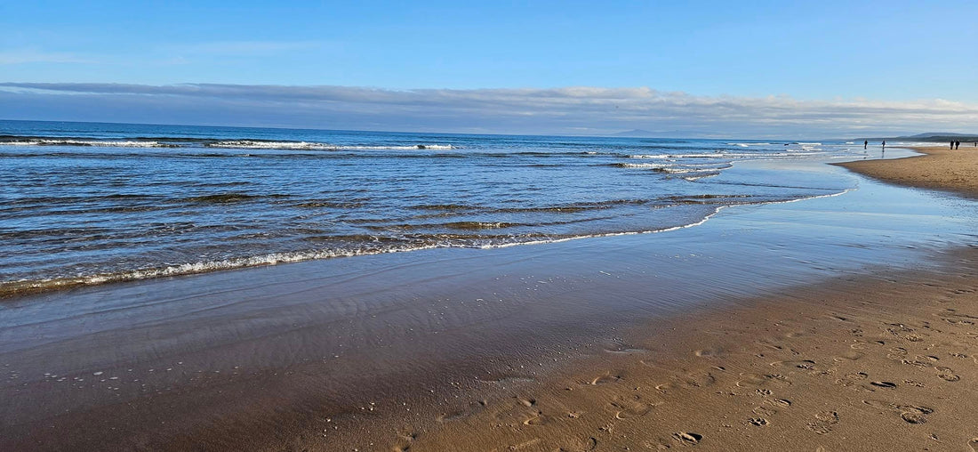 Welcome to The Cove Journal