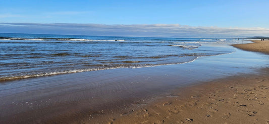 Welcome to The Cove Journal