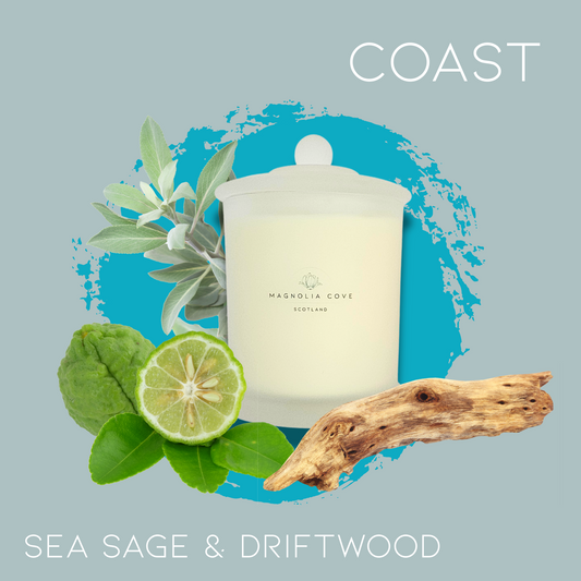 COAST 380g Candle